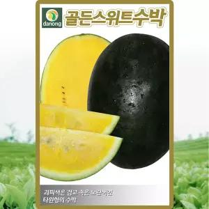 다농 골든스위트수박 씨앗 5립 노랑수박씨 종자