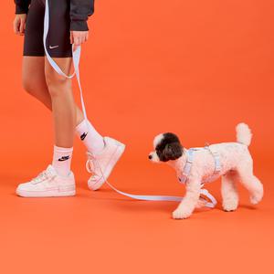 773PAW 리쉬 강아지리드줄 소형견 중형견 산책줄 3m