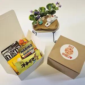 비비콩 초코세트 학교 학원 교회 행사 단체 간식 꾸러미 박스 어린이집 유치원 생일 답례품 미니 과자 선물 세트 구디백