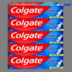 콜게이트 그레이트 레귤러 치약 250g 5개