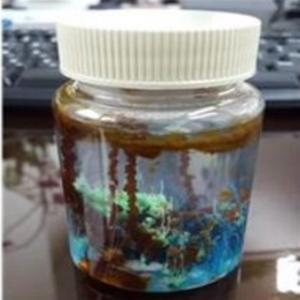 화학정원만들기 (10인용) 화학정원만들기키트 (10명1세트)