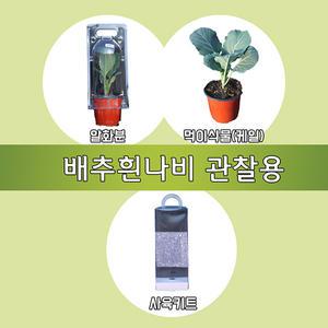 배추흰나비기르기세트(관찰용) EDU-40277 / 과학 체험학습 실험키트