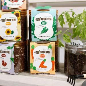 11종 1개 식물재배키트 투명화분 미니화분 화분키트 씨앗키트 학습키트 체험활동