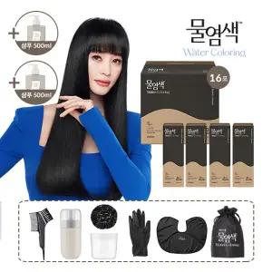 씨드비 물염색 시즌2 16회분 + 고급 염색키트 1SET + 채우담 샴푸 500ml 2개