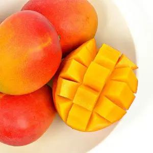 [자연맛남]제주 애플망고 선물용 2.5kg (7-8입)