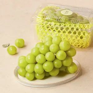 샤인머스켓 (특) 600g 팩