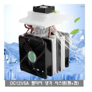 BX39 DC12V 펠티어 키트 냉동 냉각시스템 열전소자 팬 BT