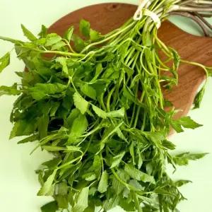 청도 한재 미나리 특품) 800g 4단)