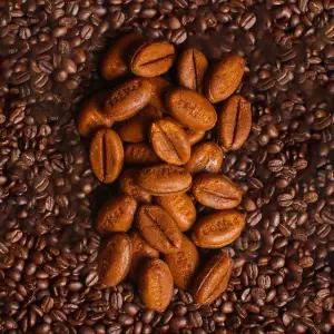 [촉촉만쥬] 커피콩빵 20봉 (총1.4kg)