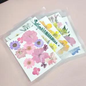 압화 드라이플라워 컬러믹스 압화꽃 생화 잎 누름꽃/앞화/꽃압화/작품/압화꽃/꽃받침/꾸미기/꽃장식/공예