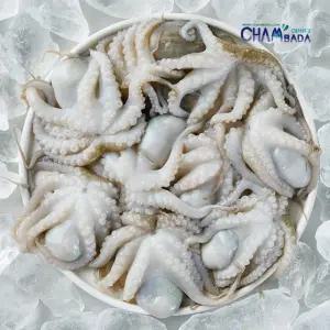 [만능수산시장] 만능 통 주꾸미 600g x 5팩 + 만능볶음소스 50g x 5팩