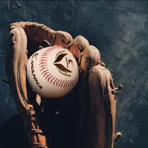 아이워너 연식 야구공 안전야구공 1타 12개입 캐치볼 유소년 베이스볼