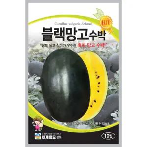 블랙망고수박 종자10립
