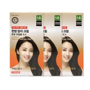댕기머리 한방칼라크림 새치염색약 5호 진한갈색 3개
