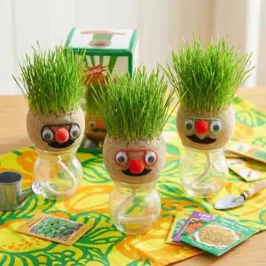 4호 용기세트+안경쓴 잔디심지인형 토피어리 큰얼굴 인형 잔디 인형 키우기 식물 재배 키트