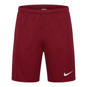 드라이 핏 파크 3 쇼트 NB(BV6855-677)