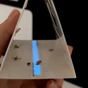 페스트세븐 화랑곡나방트랩 x 4 야광기능 쌀벌레 끈끈이