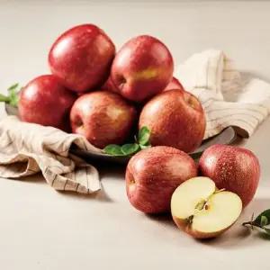 열매나무 거창 못난이 부사사과 5kg, 박스당 7~16과, 총 14~32과(개당 165~400g)