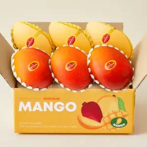 [수플린] 항공직송 고당도 애플망고 태국망고 2KG 이상 (4-6입/로얄과)