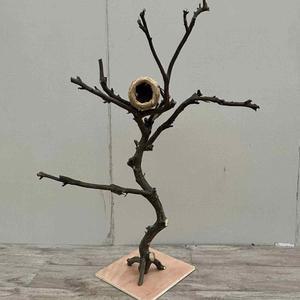 나뭇가지새놀이터 앵무새 횟대 나무 일체형 놀이 등반 스탠딩 농어 브래킷 분양 중형 놀이터