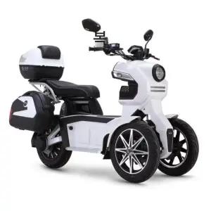 역삼륜오토바이 전기스쿠터 앞바퀴 삼륜 삼토바이 60V