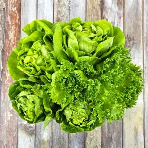 유러피안 샐러드 채소 1kg