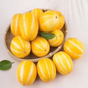 참외 실속구매 성주참외 못난이 혼합과 10kg