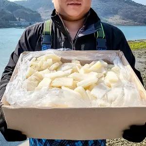 대왕 오징어 몸채 4kg 업소용 대용량 국내가공 냉동 오징어채