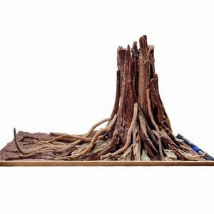 레이아웃 슈버 소포 뿌리 생명의 가지 물고기 30CM 어항장식 diy 유목레이아웃 중형