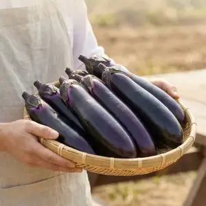 [팜보스]국내산 가지 제철 채소 부드러운 식감 가지 1kg 2kg 3kg 4kg