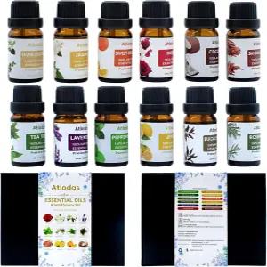 12 천연 에센셜 오일 세트 가정용 디퓨저용 향료 캔들 아로마테라피 - 라벤더 유칼립투스 티 트리 로즈