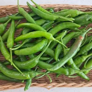 쨍하고 매운 청량고추 300g / 2개 구매시 900g발송