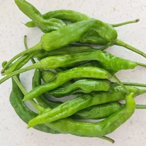 매콤달콤 꽈리고추 300g / 2개 구매시 900g발송