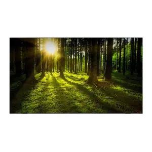 [LG] 75UR342C9NC UHD TV 189cm 벽걸이형