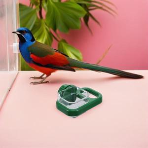 자동 앵무새 물통 새장 걸이형 애완동물 급수기 작은 동물/토끼 무물방울 투명 물병