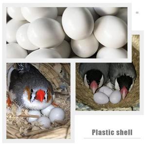 12개  새알 매끄러운 원형 플라스틱 DIY 그래피티 부활절 장식 새 은신처 호환 액세서리 애완동물 용품