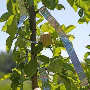 2롤 새 퇴치용 호환 리본 새를 쫓아내는 시각적 청각적 반사 테이프 양면 플래시