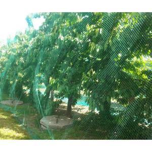 1개 트렐리스 그리드 해충 방지망 새 보호용 호환 정원망 채소 식물 꽃 과일에 해충/새를 막는 제품