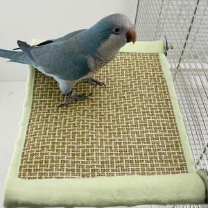 앵무새 러브버드 코카티엘 시원한 새 은신처 수면용 호환 쿨링 매트 새집 해먹 방수 스탠드  애완동물용