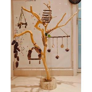 앵무새횟대 새놀이터 스탠드 새장용품 둥지 9m 07미터개 새들을 1단 나뭇가지