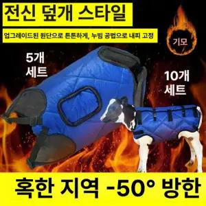 사비오코 가축방한조끼 송아지옷 축사 목장 축산 5개 10개세트