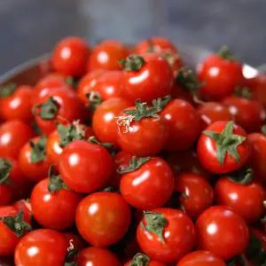 [온누리상품][썬리치] 요요방울토마토 2kg