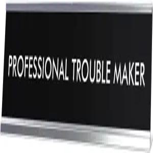 라이타 전문적인 문제 해결사 의 참신한 책상 표지판 2 x 8 재미있는 사무실 장식 비꼬는 명판