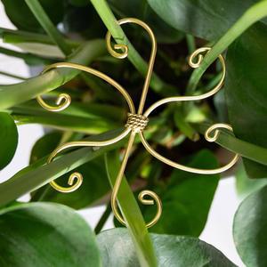 구심 5PCS 몬스테라 식물 줄기 후크 5인치 피쉬본 내구성 지지 금속 안정기 선인장