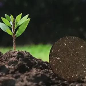 원예용 거름 가정용 작물 식물 영양흙 상토 3L iAo4+4NLs