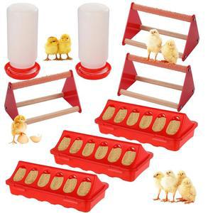 병아리 사료 및 급수 키트 8팩, 공급품, 3개, 급수기 2개, 농어 3개 포함, 브루더 앤 쿱용 닭 스타터 키트, 소형 가금류에 이상적임