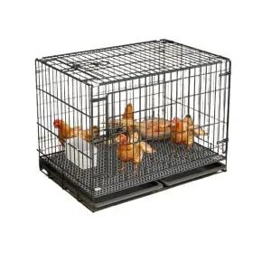 철제 닭장 케이지 조류 우리 새장 발판 트레이 세트상품