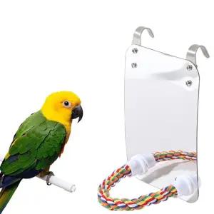 앵무새 거울횃대 장난감 조류소품 놀이 발톱갈이 새 cAE9+2MBG