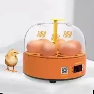 부란기 6구 미니 계란 부화기 자동 회전 전란 검란
