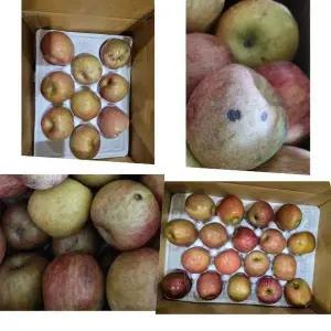 부사미색못난이 F3P5F5O0 5kg 29-31과